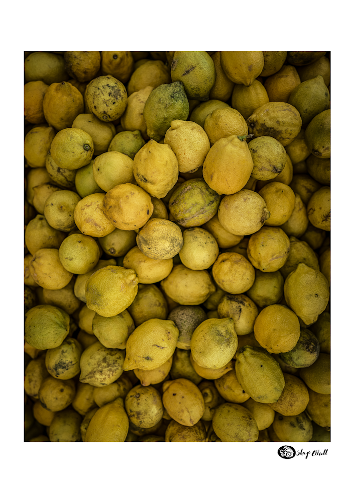 Sicilian Lemons Photography Art | The Elliott Homestead, Inc.