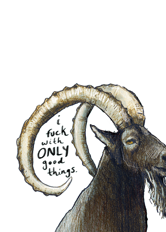 Art Prints of Wildlife