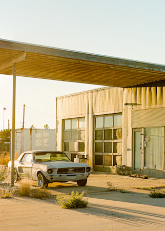 Mustang:  Lordsburg, Nm Art | Chip Greenberg
