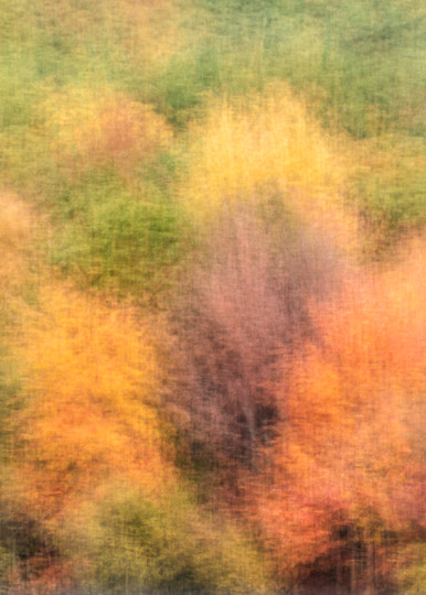 Fall Color 15 Photography Art | Mario Cornacchione