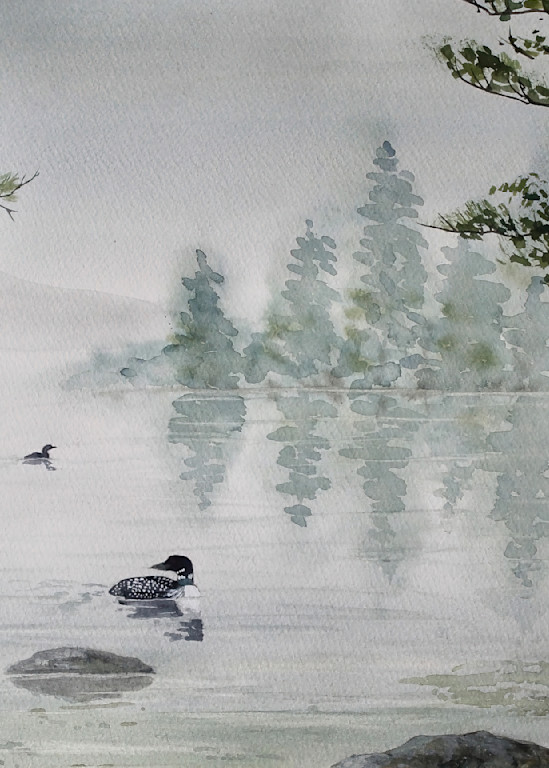 Loons In Our Midst  Art | Cate Poole Water Colors