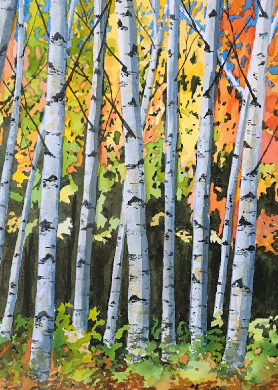 Birch Glade Art | Cate Poole Water Colors