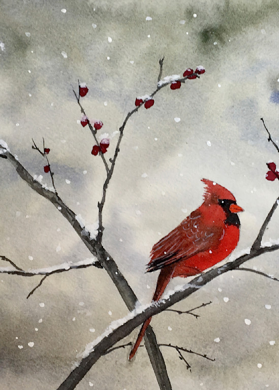 Winter Cardinal  Art | Cate Poole Water Colors