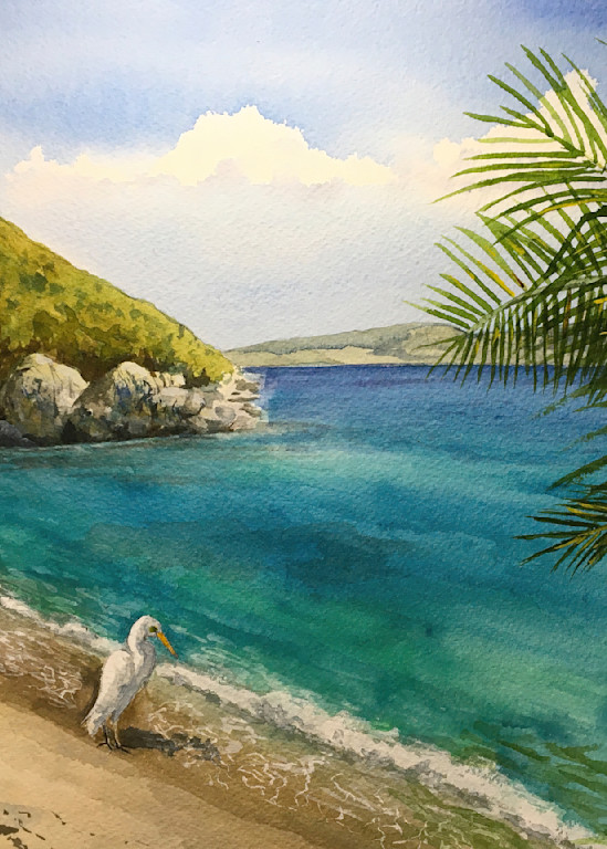 Heron At Jumbie Beach  Art | Cate Poole Water Colors