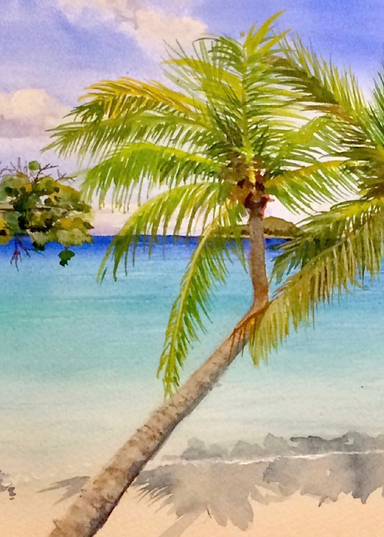 Maho Palms  Art | Cate Poole Water Colors
