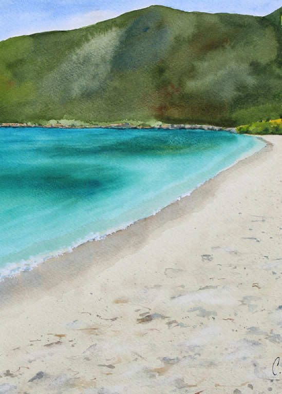 Francis Bay Beach Art | Cate Poole Water Colors
