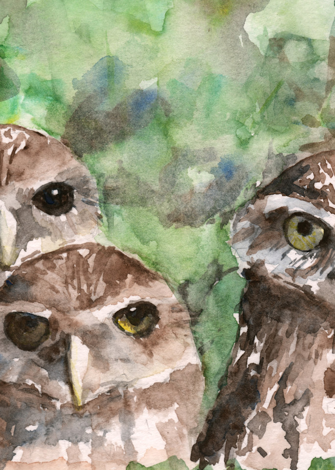 Burrowing Owls Printed Tote Bag | Claudia Hafner Watercolor