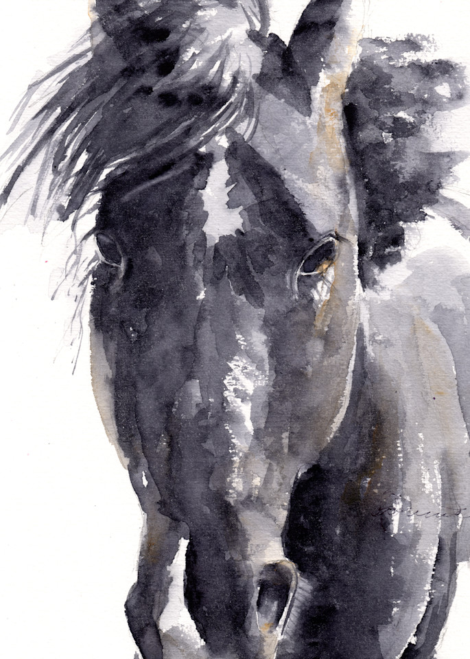 Black Horse Printed Tote Bag | Claudia Hafner Watercolor