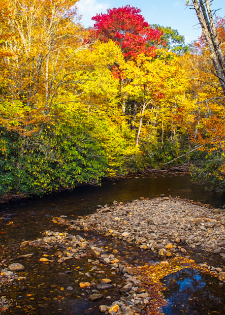 Autumn Spotlight — North Carolina fine-art photography prints