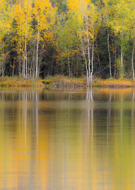 Fall foliage and reflection on lake.