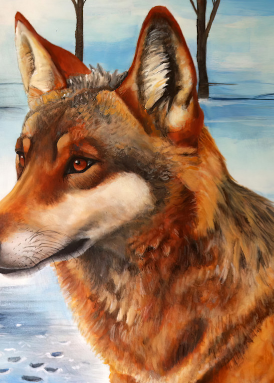 Red Wolf Art | Cheryl Crowley
