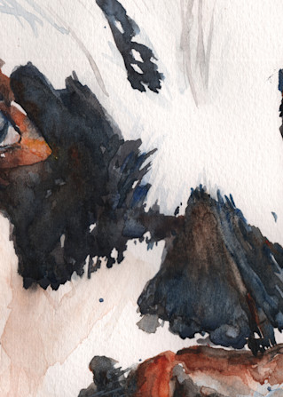 Cow In Blue Art | Claudia Hafner Watercolor