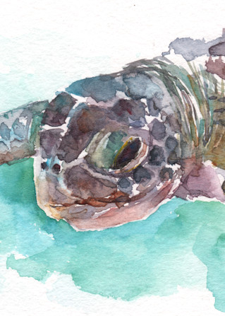 Sea Turtle 2 Art | Claudia Hafner Watercolor
