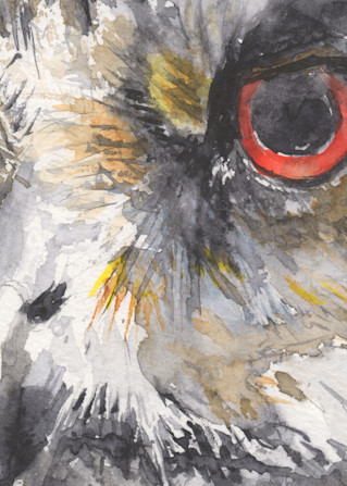 Owlette Art | Claudia Hafner Watercolor