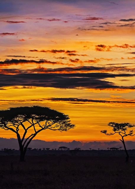 Serengeti Sunrise Photography Art | johnnelson