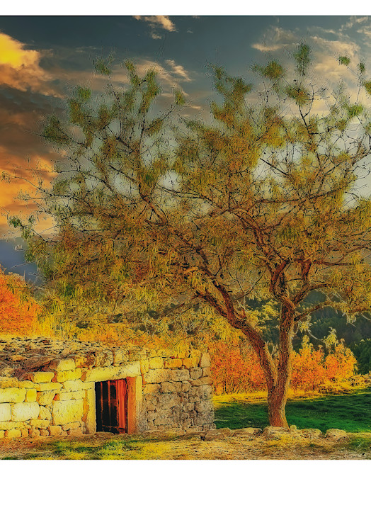  Sunset In Provence Photography Art | J-M Artography