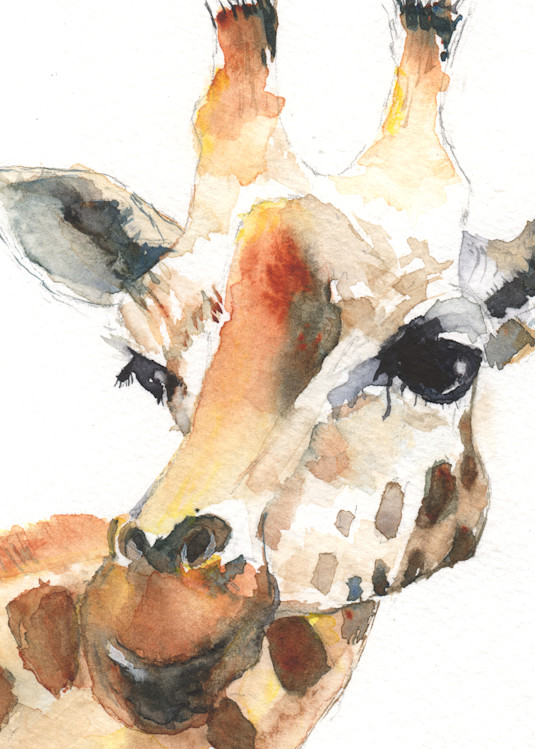 Giraffe Art | Claudia Hafner Watercolor