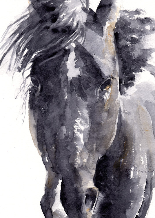 Black Horse Art | Claudia Hafner Watercolor