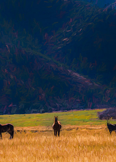 Wild Horses at the base of Log Canyon
