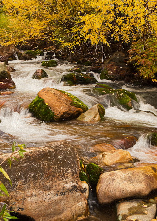 Autumn on the Creek