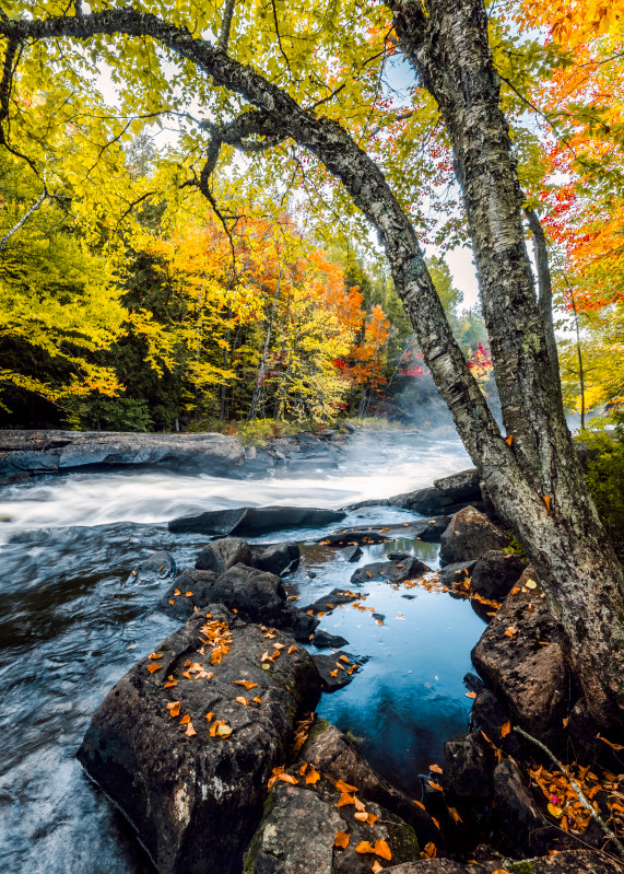Oxtongue Rapids In Autumn Art | Trevor Pottelberg Photography