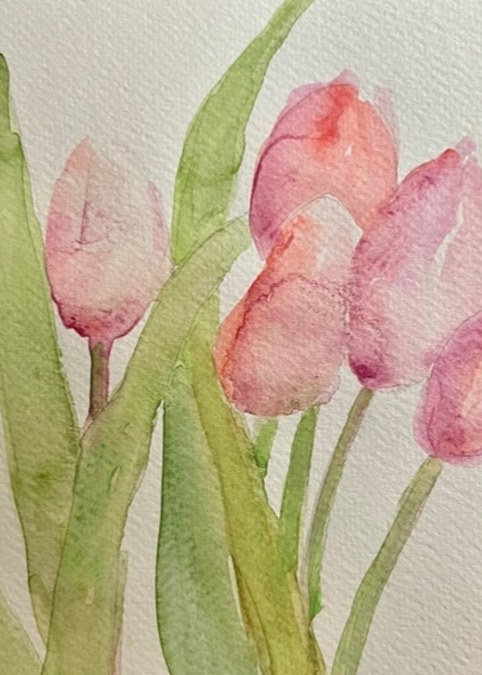 Tulips Art | Sherry Harradence Artist