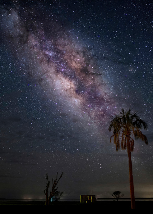 Everglades Milky Way Photography Art | johnnelson