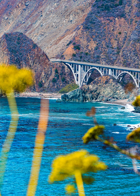 Big Creek Bridge Photography Art | Alyce Croft Photography