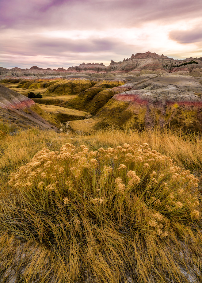 Fall Foliage In The Badlands Photography Art | Kates Nature Photography, Inc.