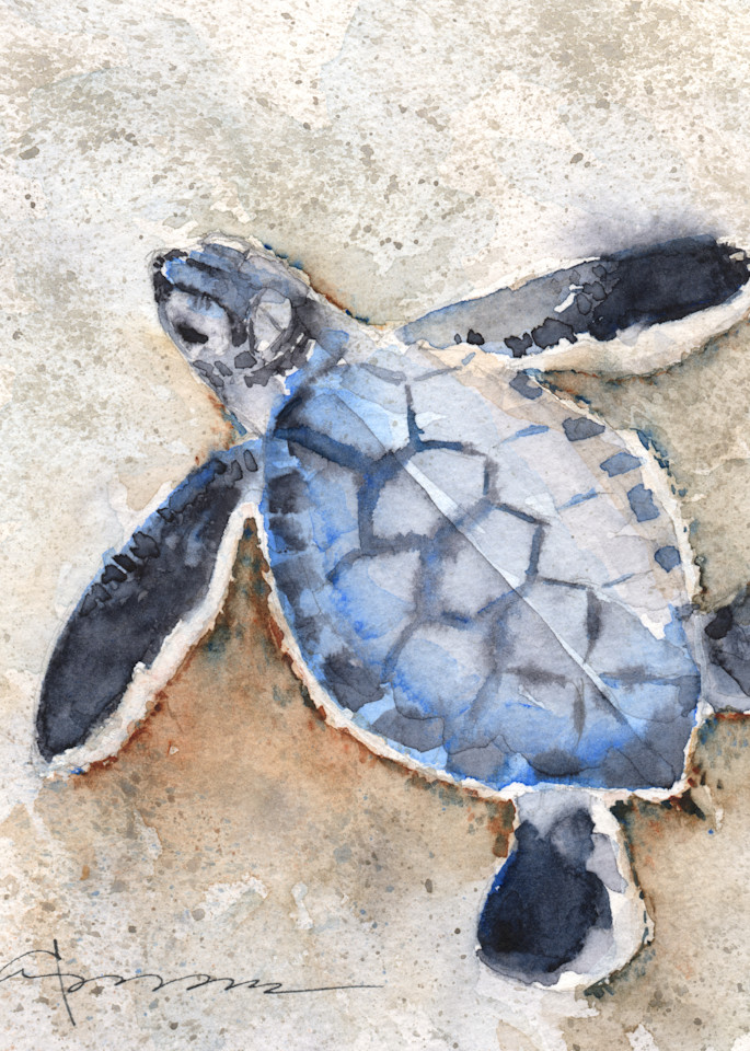 Sea Turtle 29 Art | Claudia Hafner Watercolor
