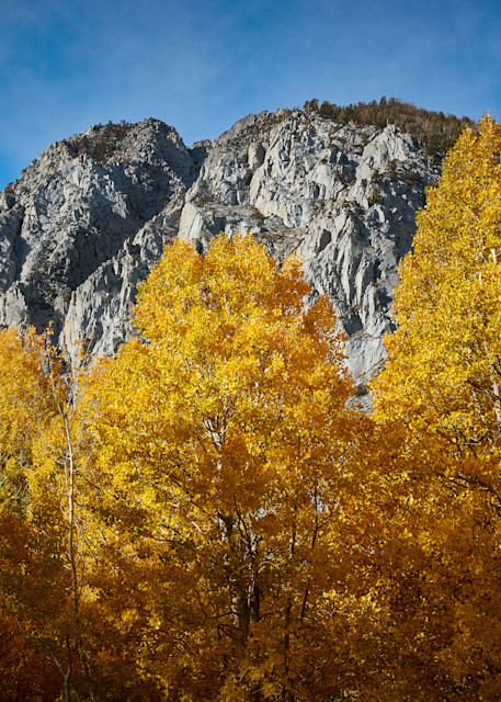 Fall Colors Sierra Mountains Art | Bare Landscapes by Markusson