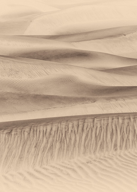 Mesquite Sand Dunes In Death Valley 1 Of 1 Photography Art | Elizabeth Fortney Photography