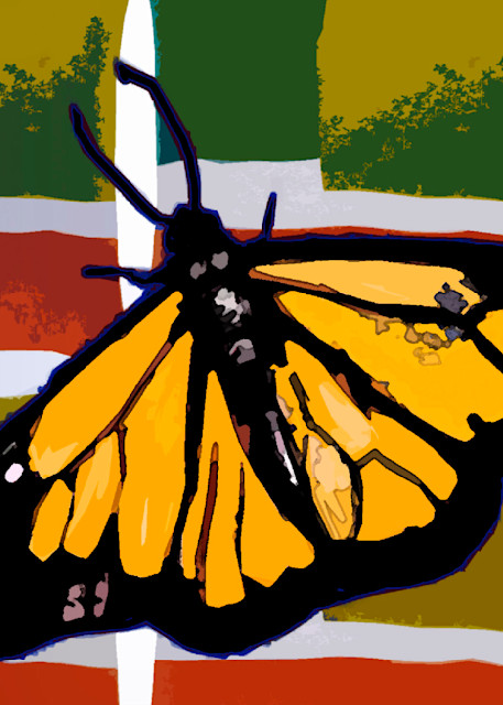 Butterfly In Autumn Colors Art | Mish Murphy Fine Art