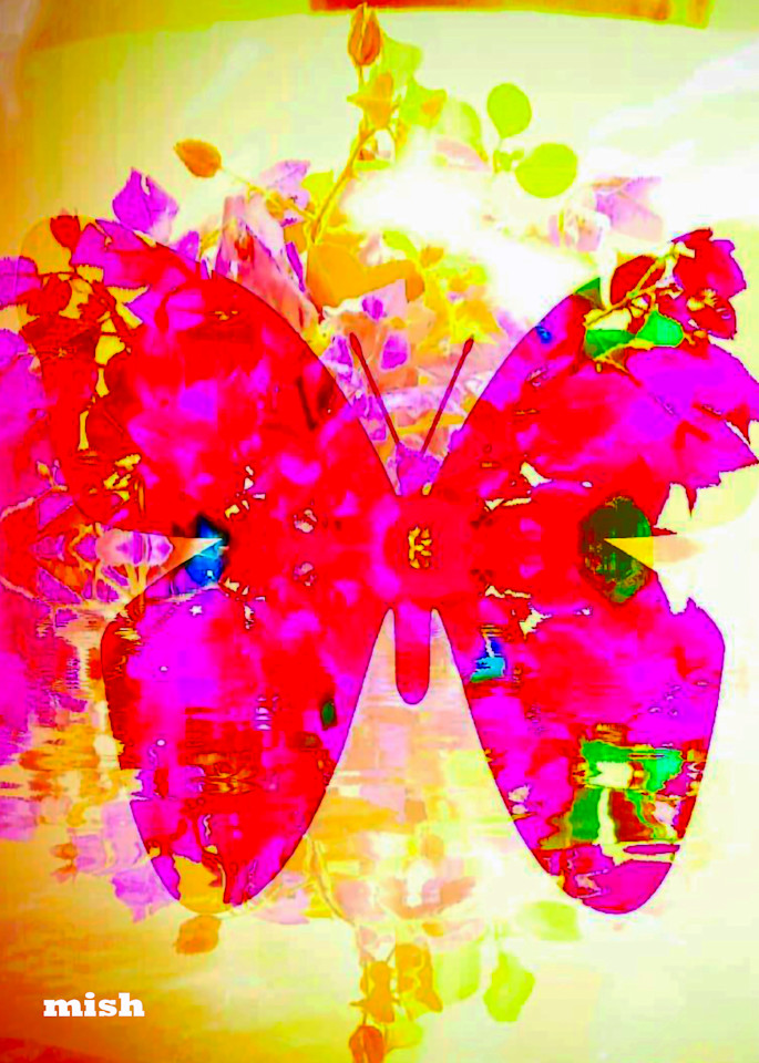 Elusive Butterfly Art | Mish Murphy Fine Art