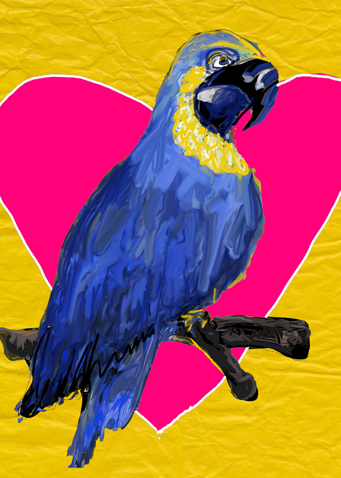 Macaw Art | Mish Murphy Fine Art