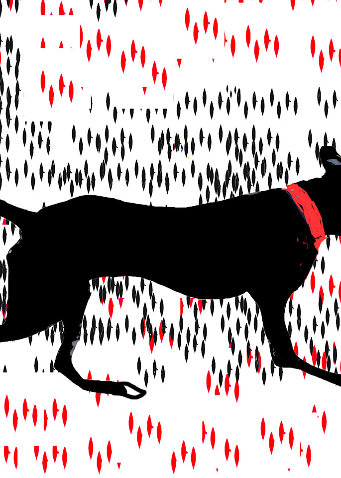 Running Dog Art | Mish Murphy Fine Art