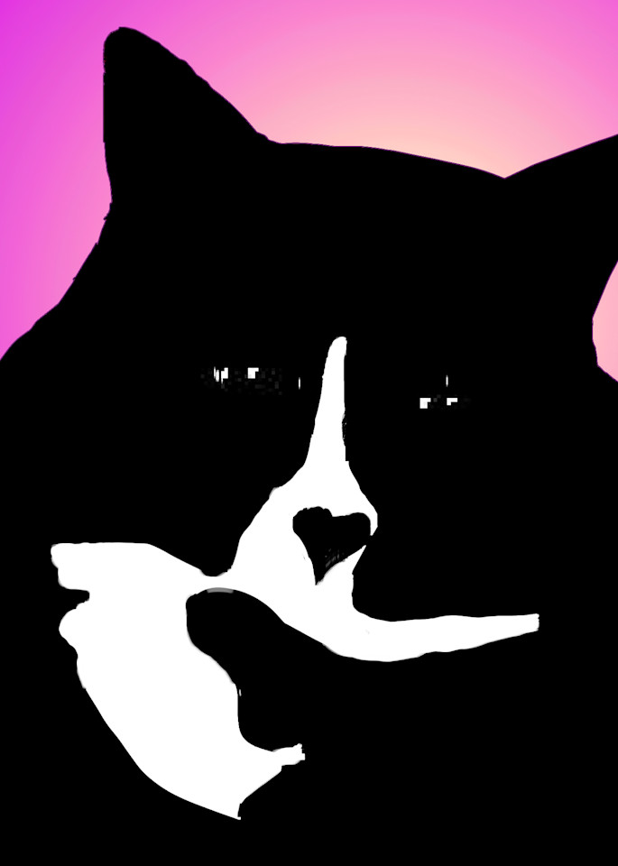Cool Cat Purple Art | Mish Murphy Fine Art