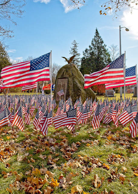 Field Of Flags Photography Art | Fred Pais Photography