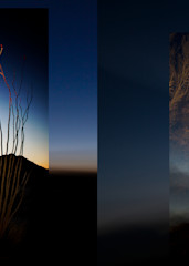 Organ Pipe National Monument Mural Photography Art | Philipson Foundation