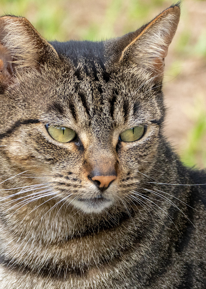 Seriously? Photography Art | Robert Harrison Fine Art