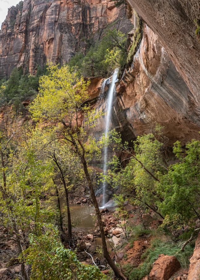 Delicate Falls, Zion National Park Photography Art | Kim Bova Photography