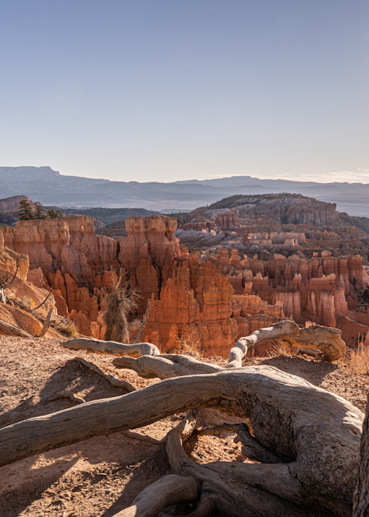 Sunflare   Bryce Canyon, Utah Photography Art | Kim Bova Photography