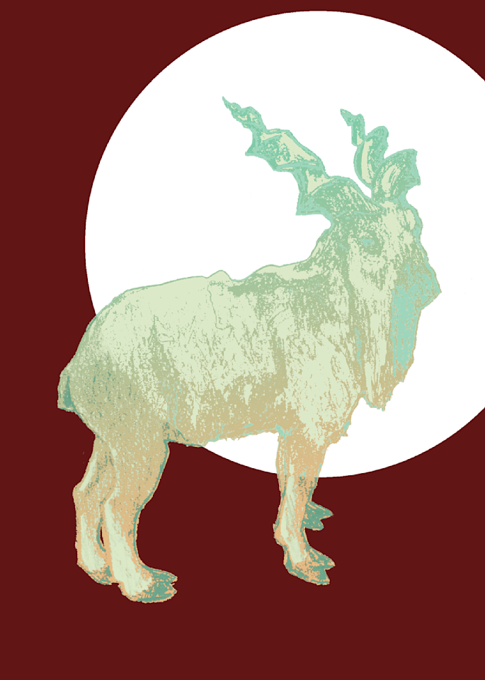 Art Prints of Wildlife