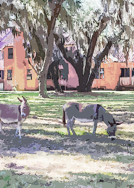 Ossabaw Donkeys at the Mansion Watercolor