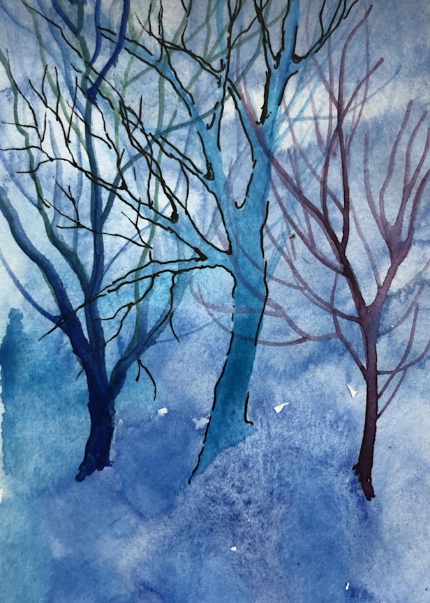 Winter Trees Art | Margaret Park Fine Art