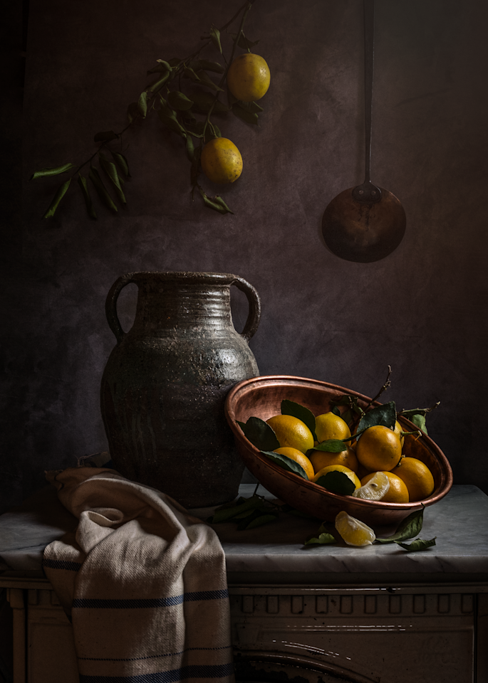 Early Winter Lemons Photography Art | The Elliott Homestead, Inc.