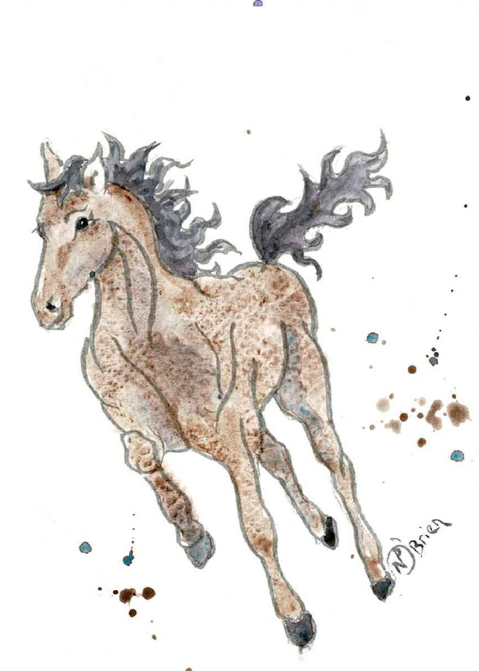Happy Horse Art | Color Splash Ranch