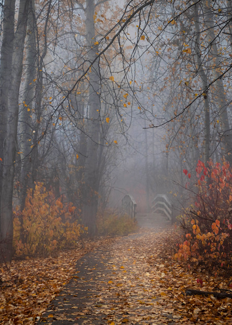 Autumn Peace | Terrill Bodner Photographic Art