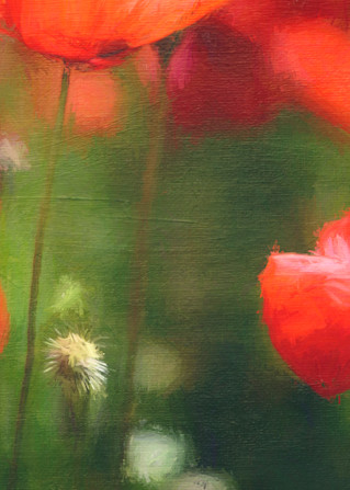 Poppies Au Lait Mug Art | Karen Hutton Fine Art