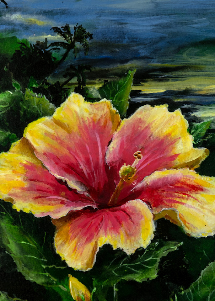 Color Me HIbiscus